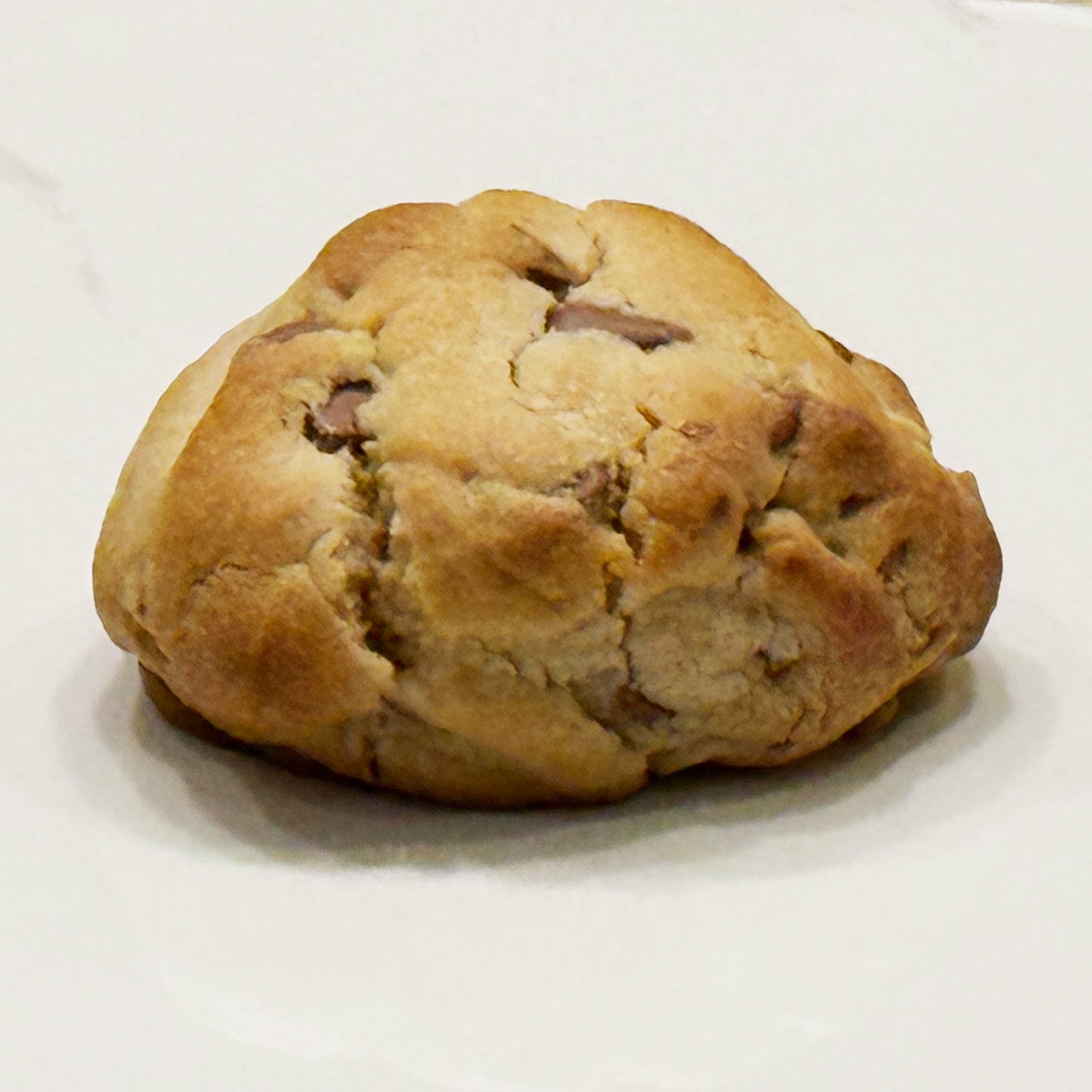 Chocolate Chip Cookie