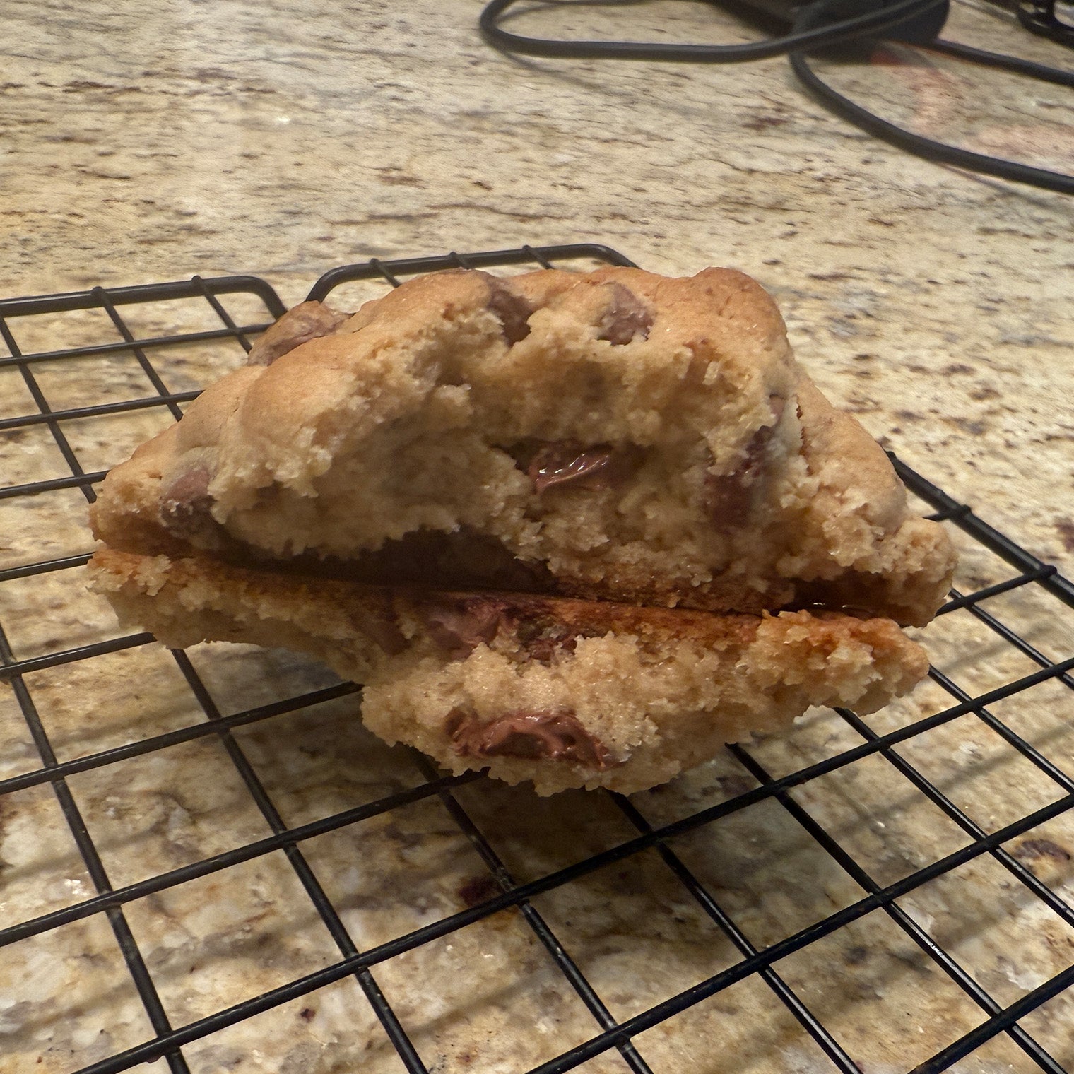 Chocolate Chip Cookie