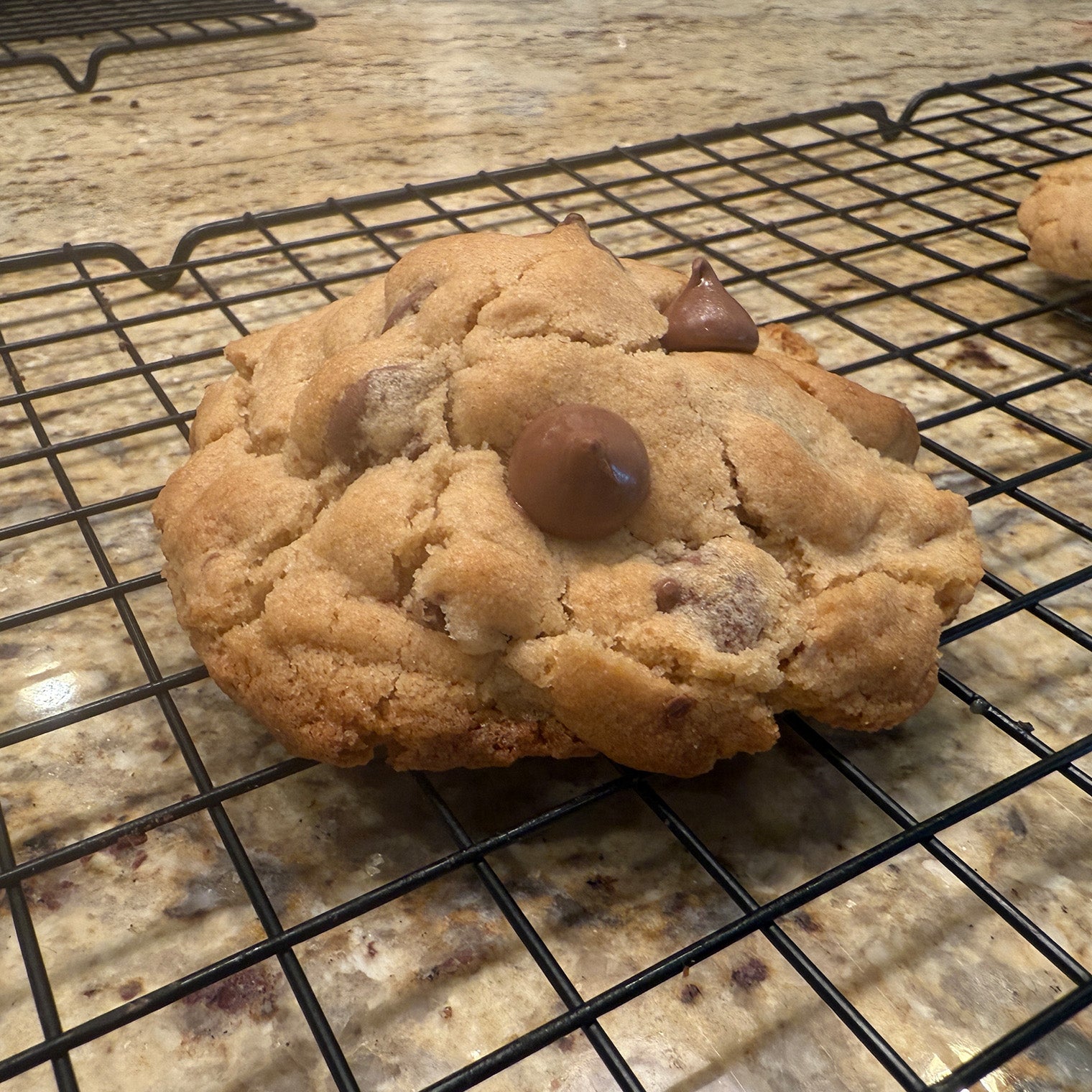 Chocolate Chip Cookie