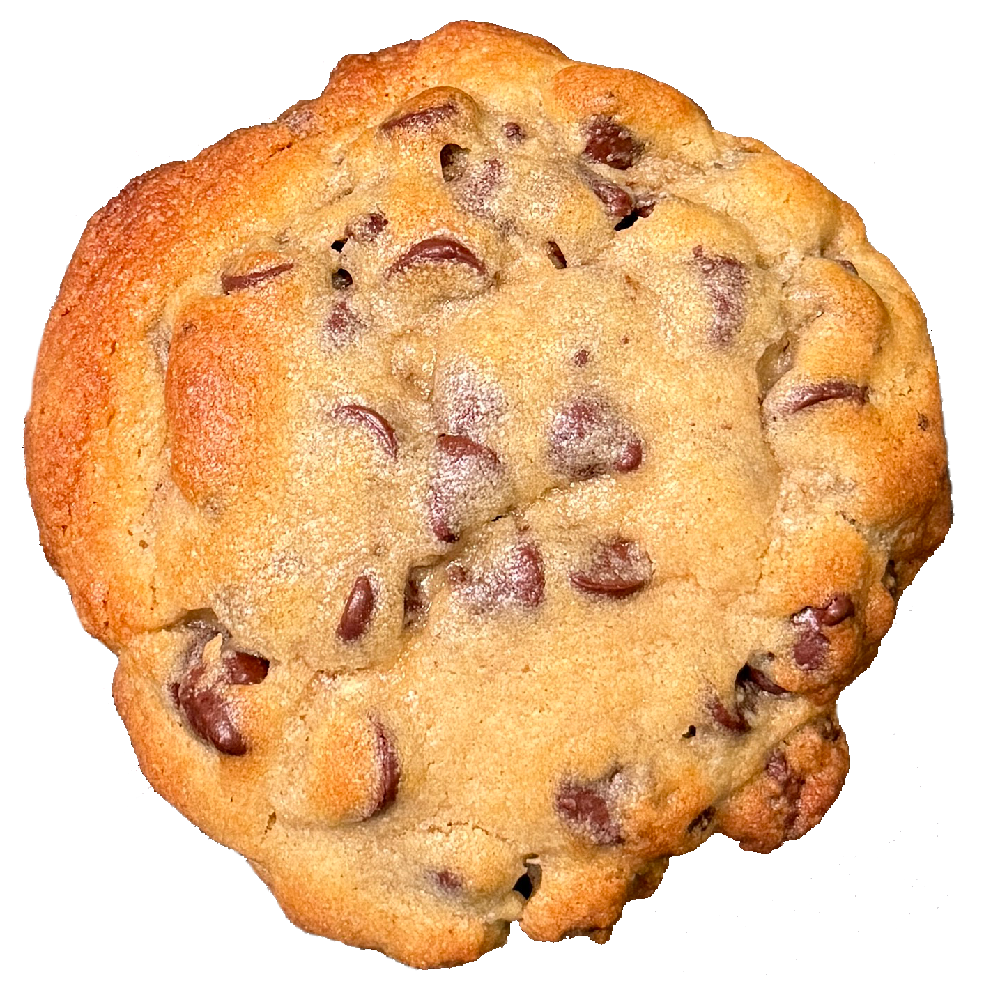 NY Style Chocolate Chip Cookie