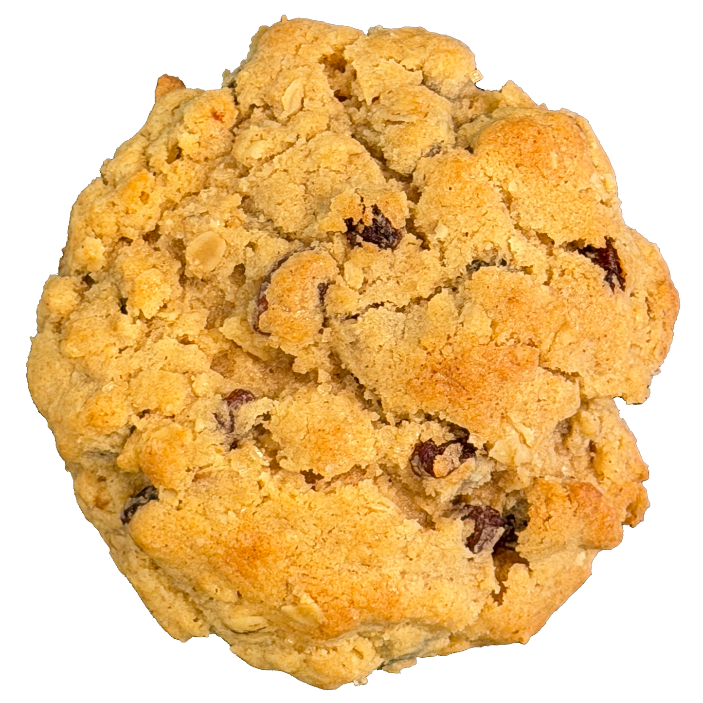 Oatmeal Raisin Cookie