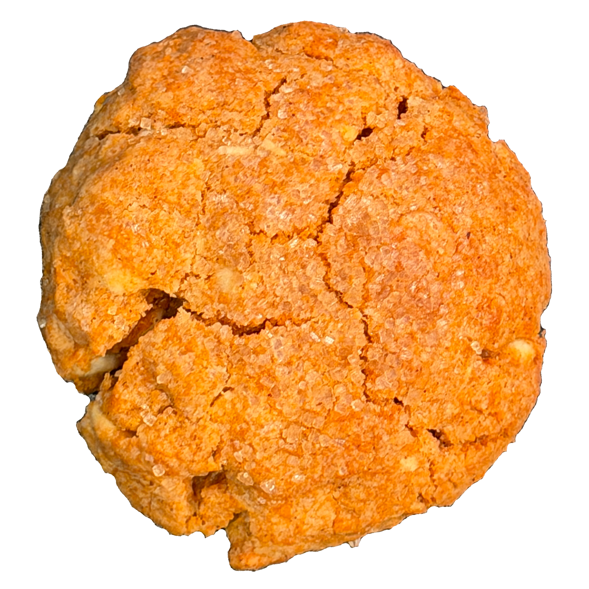 Pumpkin Spice Cookie