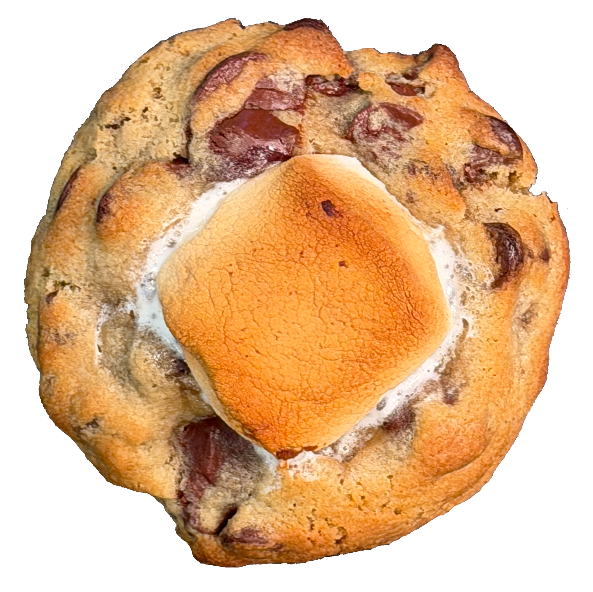 S'Mores Cookie