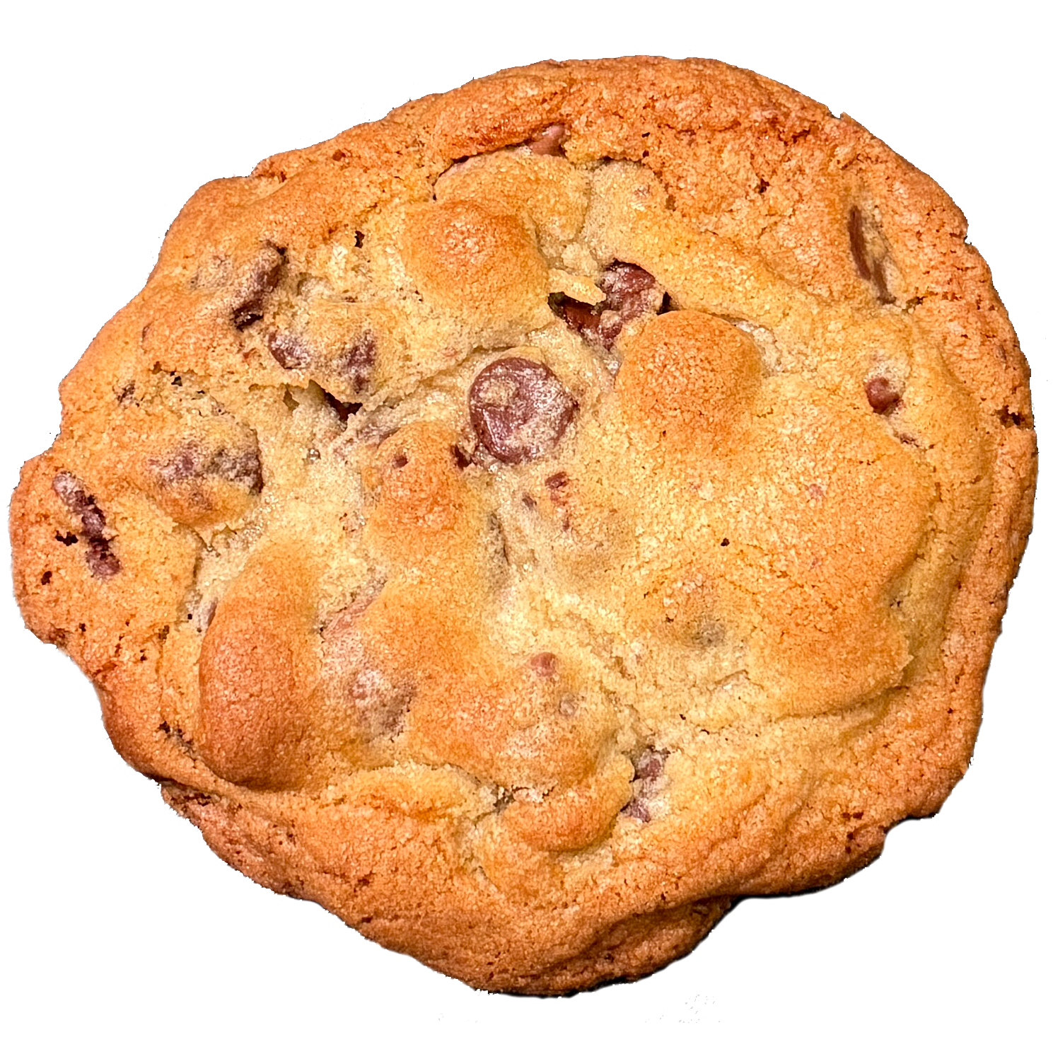 Old Fashion Chocolate Chip Cookie