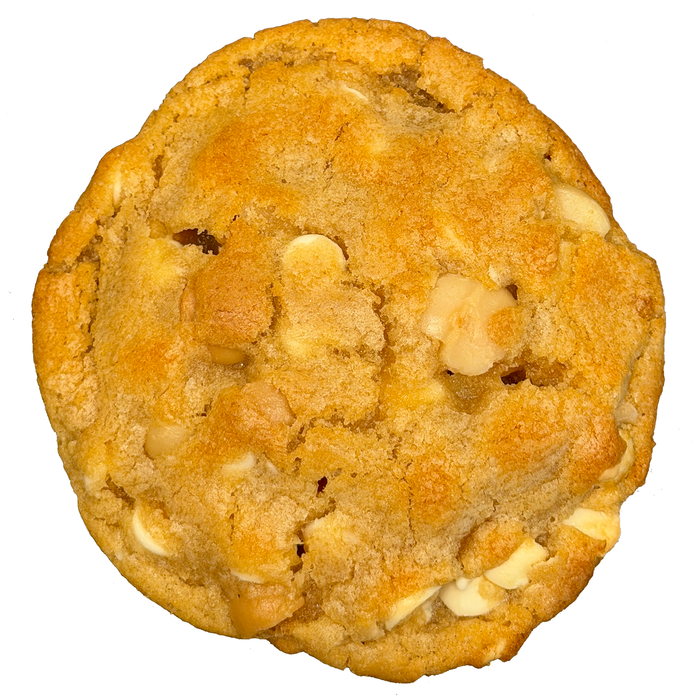 White Chocolate Macadamia Nut Cookie